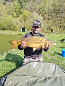 Common Carp