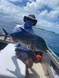 Bluefin Trevally