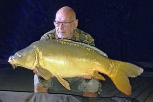 Mirror Carp