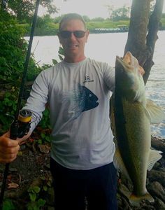 Zander