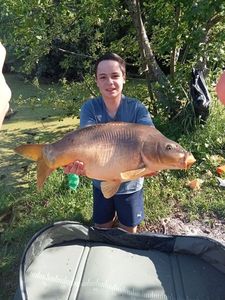 Mirror Carp