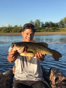 Largemouth Bass