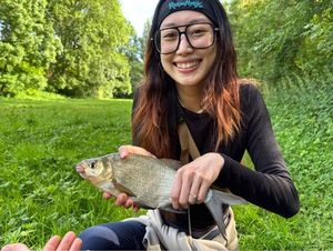 Common Bream