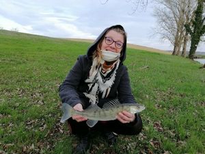 Zander