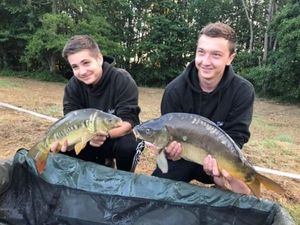 Mirror Carp