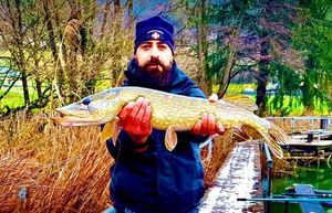 Northern Pike