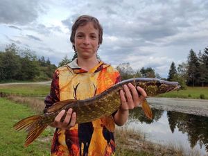 Northern Pike
