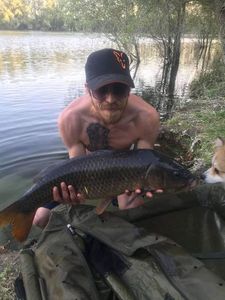 Common Carp