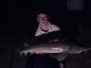 Sturgeon