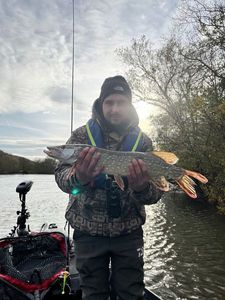 Northern Pike