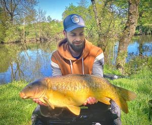 Mirror Carp