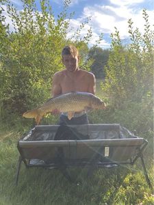 Grass Carp