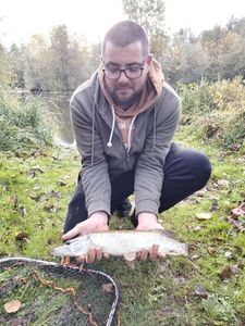 Northern Pike