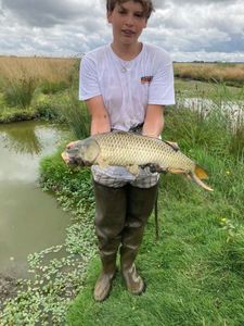 Common Carp