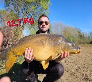 Mirror Carp