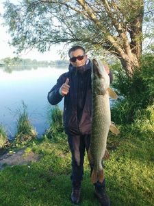 Northern Pike