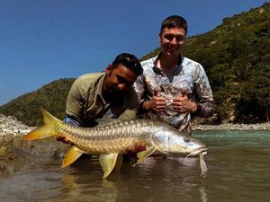 Golden Mahseer
