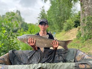 Grass Carp