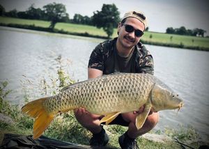 Common Carp
