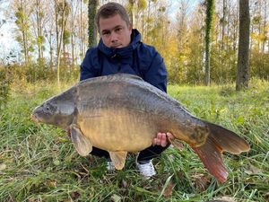 Mirror Carp