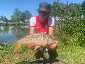 Mirror Carp