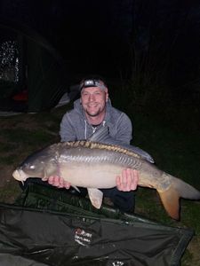 Mirror Carp