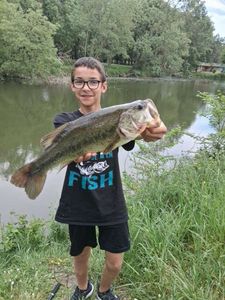 Largemouth Bass