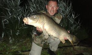 Ballan Wrasse