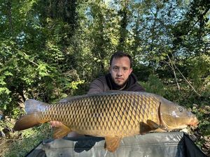 Common Carp