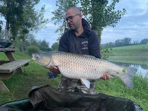 Grass Carp