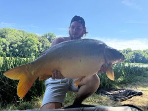 Common Carp