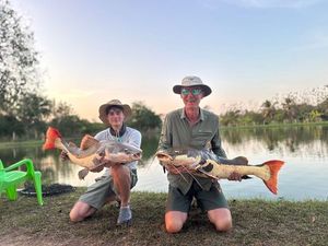 Redtail Catfish (Pirarara)