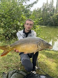 Mirror Carp