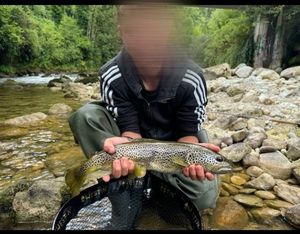 Tiger Trout