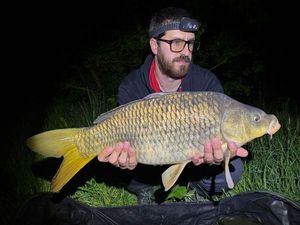 Common Carp