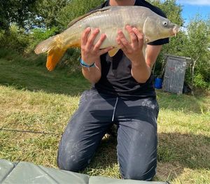 Mirror Carp
