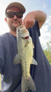 Smallmouth Bass
