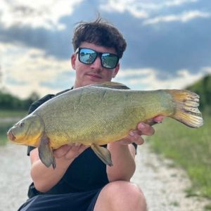 Tench