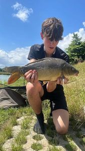 Mirror Carp