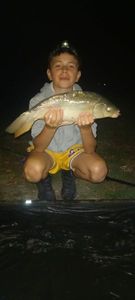 Mirror Carp