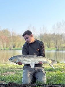 Grass Carp