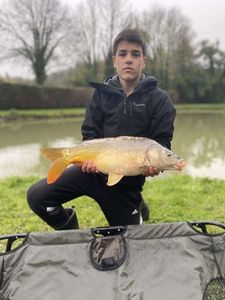 Mirror Carp