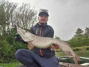 Northern Pike