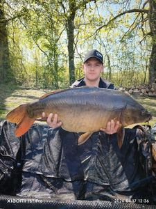 Mirror Carp