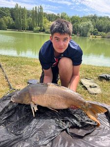 Mirror Carp