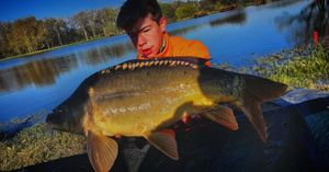 Mirror Carp