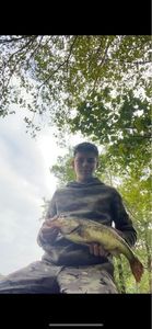 Largemouth Bass
