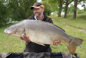 Mirror Carp