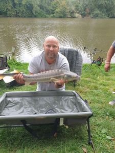Sturgeon
