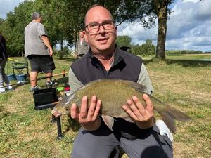 Common Bream